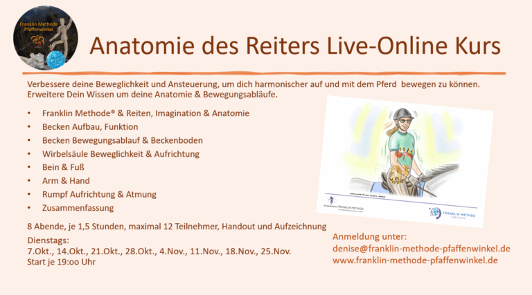 Bild zeigt Text zum Kurs Anatomie des Reiters, incl. Daten und Preise
