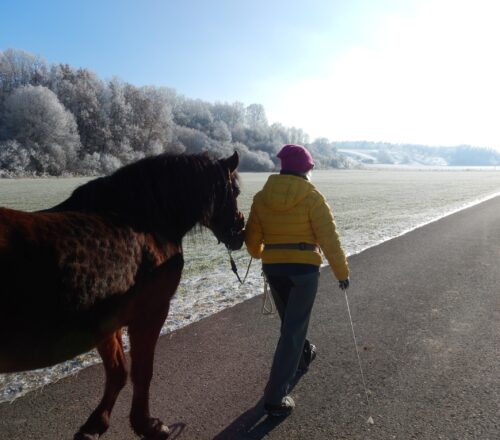 Frau mit Pferd spazieren