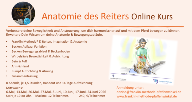 Anatomie des Reiters Bild mit Reiter, Text mit Daten
